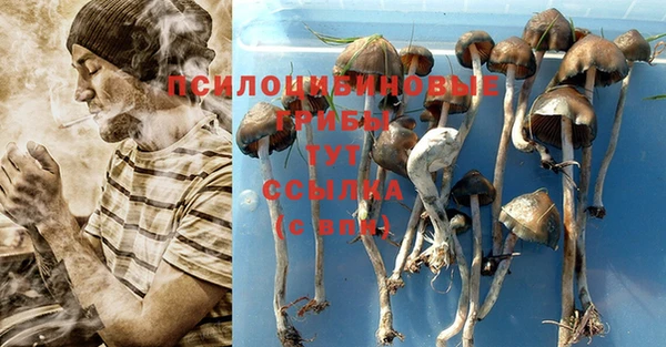 дурь Вязники