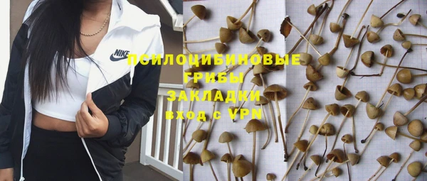 экстази Вяземский
