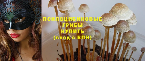 экстази Вяземский