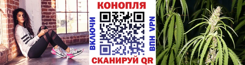 купить   Макушино  Бошки Шишки MAZAR 